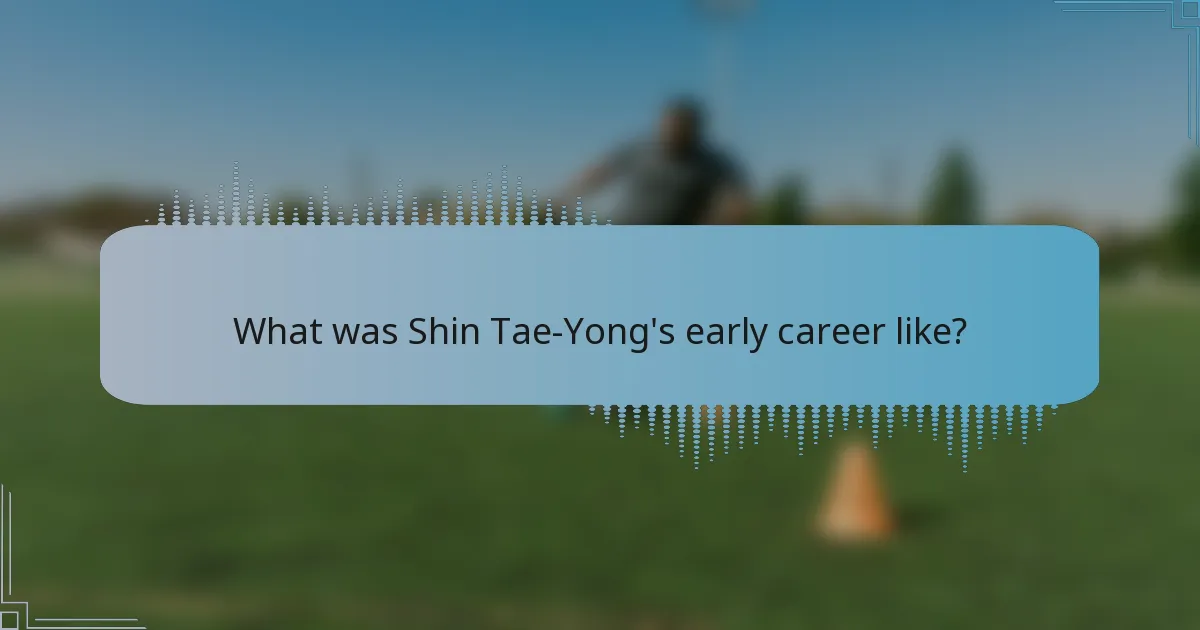 What was Shin Tae-Yong's early career like?